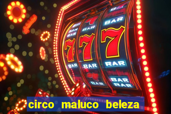 circo maluco beleza recife circo maluco